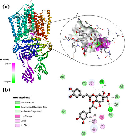 PMC13336807 – cbdv71417-fig-0011