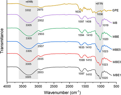 PMC13336807 – cbdv71417-fig-0002