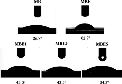 PMC13336807 – cbdv71417-fig-0007