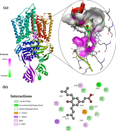 PMC13336807 – cbdv71417-fig-0010