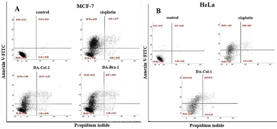 PMC13348732 – cbdv71452-fig-0002