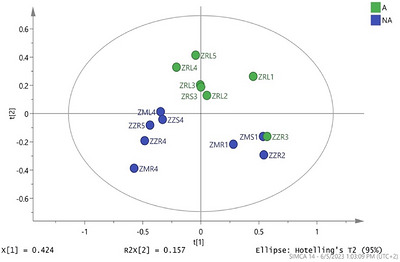 PMC13336808 – cbdv71477-fig-0001