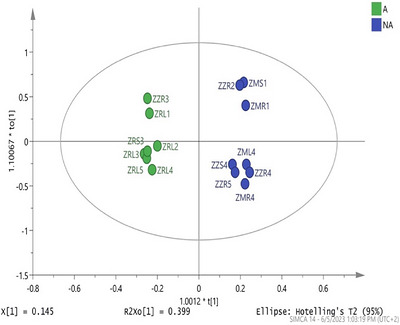 PMC13336808 – cbdv71477-fig-0002