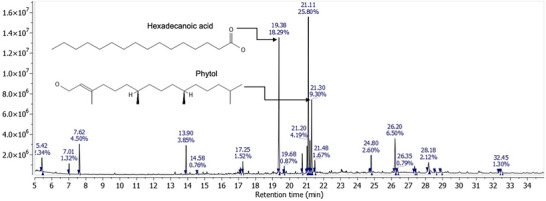 PMC13336808 – cbdv71477-fig-0004