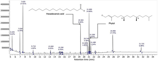 PMC13336808 – cbdv71477-fig-0005