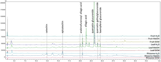 PMC13348868 – cbdv71479-fig-0005