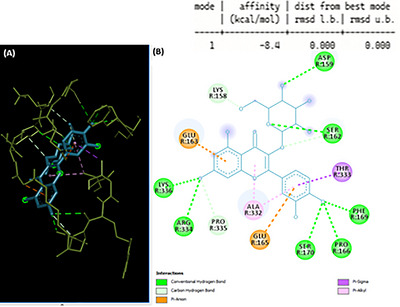 PMC13352103 – cbdv71490-fig-0008