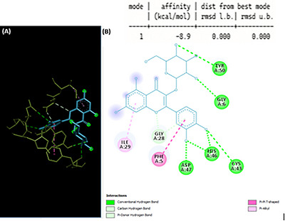 PMC13352103 – cbdv71490-fig-0007