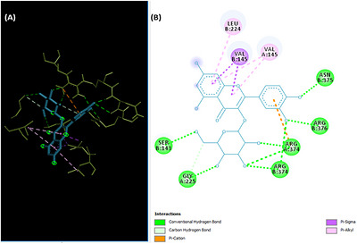 PMC13352103 – cbdv71490-fig-0006