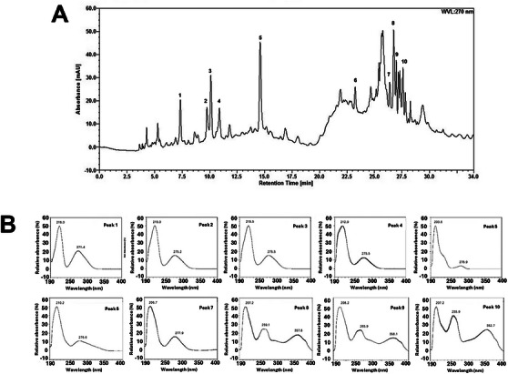 PMC13401970 – cbdv71528-fig-0002