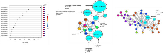 PMC13401958 – cbdv71532-fig-0005