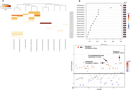 PMC13401958 – cbdv71532-fig-0006