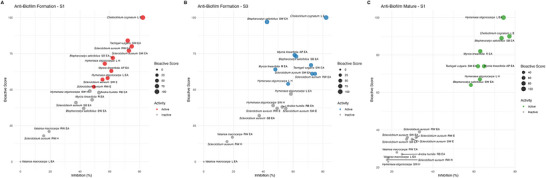 PMC13401958 – cbdv71532-fig-0001