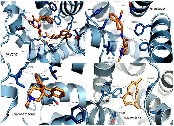 PMC13401976 – cbdv71534-fig-0009