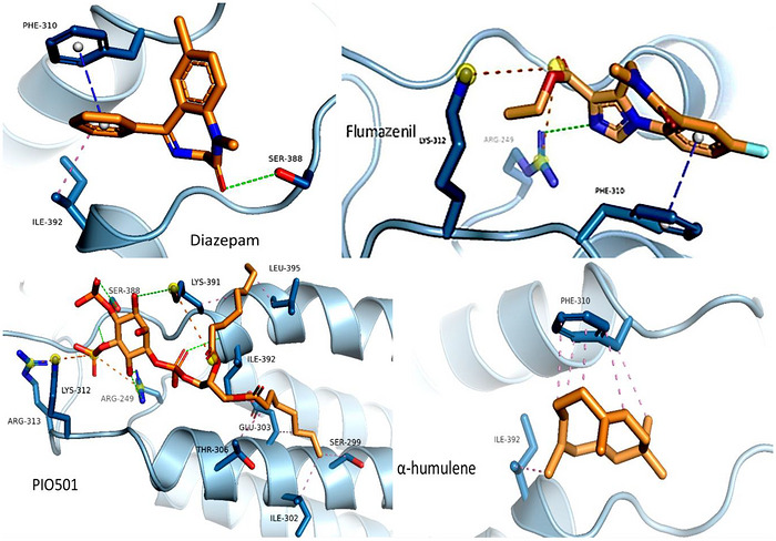 PMC13401976 – cbdv71534-fig-0008