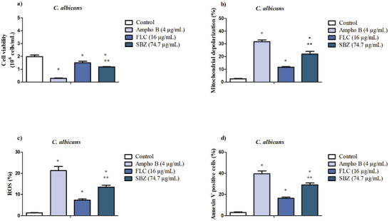 PMC13401973 – cbdv71538-fig-0002