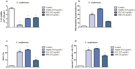 PMC13401973 – cbdv71538-fig-0003
