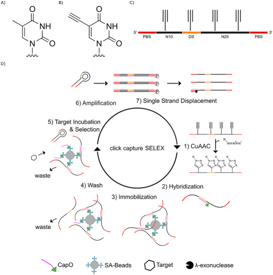 PMC13282910 – chem70932-fig-0001