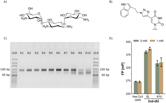 PMC13282910 – chem70932-fig-0003