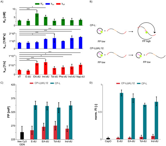 PMC13282910 – chem70932-fig-0002