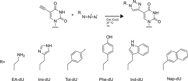 PMC13282910 – chem70932-fig-0006