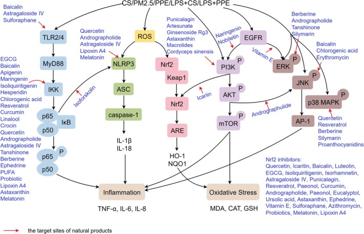 PMC13325018 – fsn371965-fig-0011