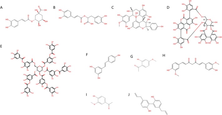 PMC13325018 – fsn371965-fig-0005