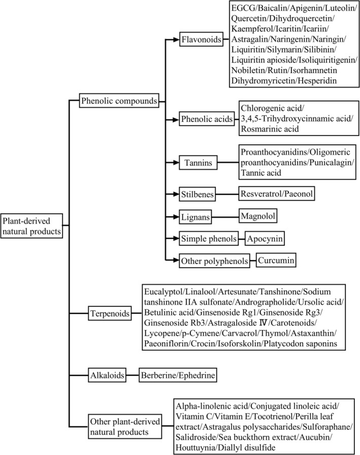 PMC13325018 – fsn371965-fig-0002