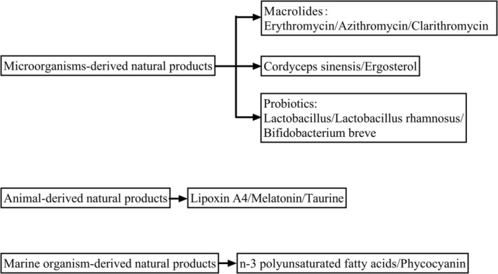 PMC13325018 – fsn371965-fig-0003