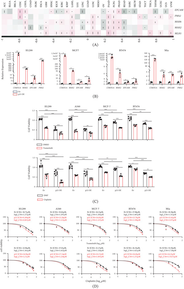 PMC13338575 – fig-0008