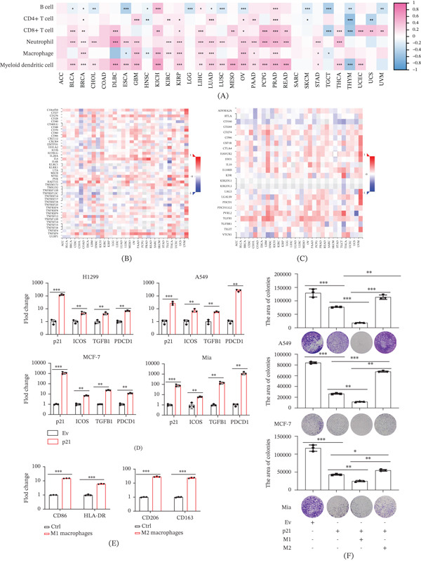 PMC13338575 – fig-0007