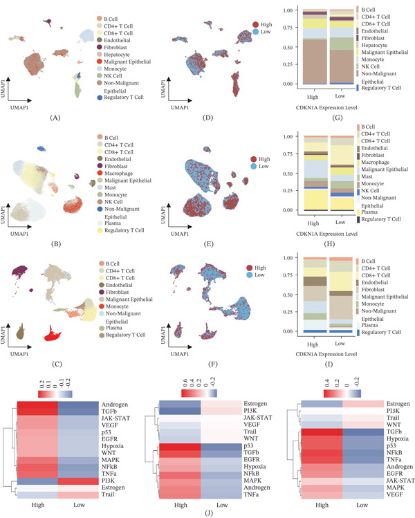 PMC13338575 – fig-0004