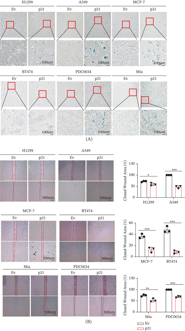 PMC13338575 – fig-0003