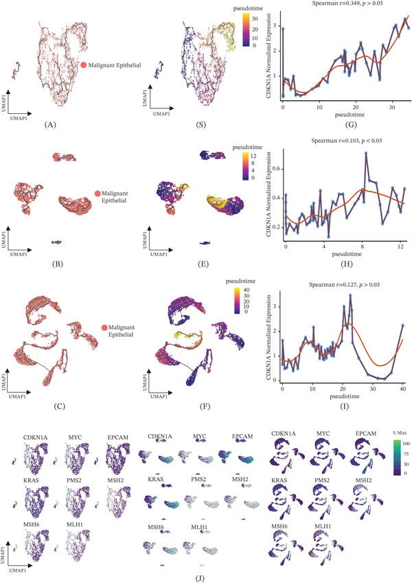PMC13338575 – fig-0005