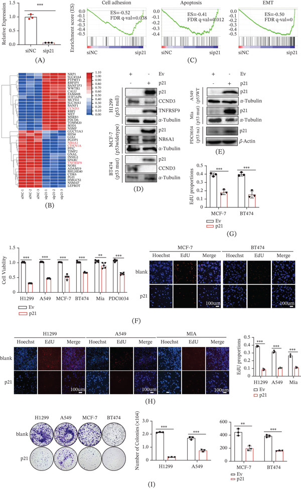 PMC13338575 – fig-0002