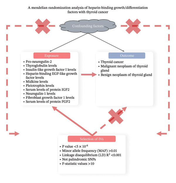 PMC13373531 – fig-0001