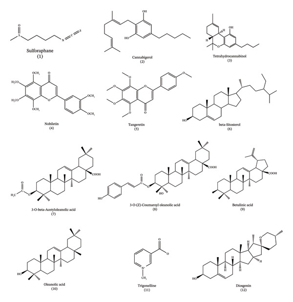 PMC13316133 – figpt-0001