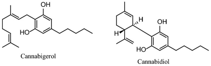 PMC13295252 – antioxidants-15-00690-f001