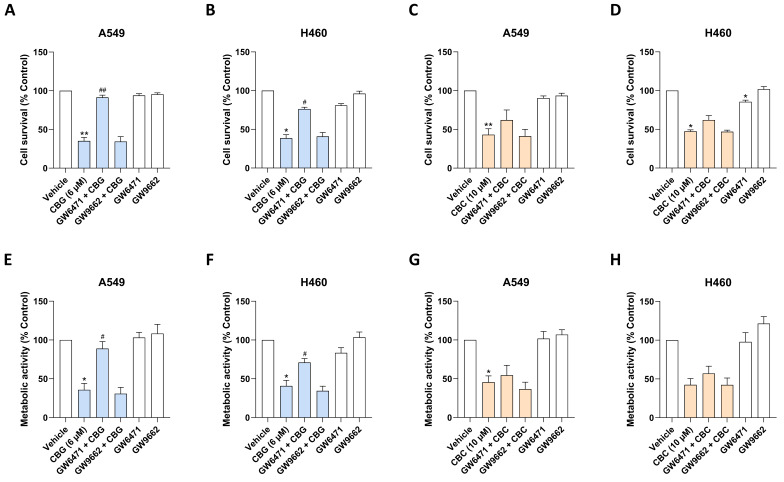 PMC13296359 – antioxidants-15-00754-f003