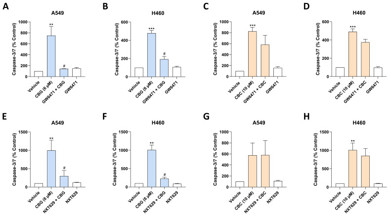 PMC13296359 – antioxidants-15-00754-f011