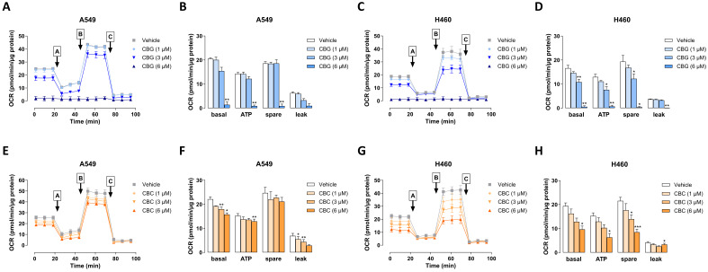 PMC13296359 – antioxidants-15-00754-f015