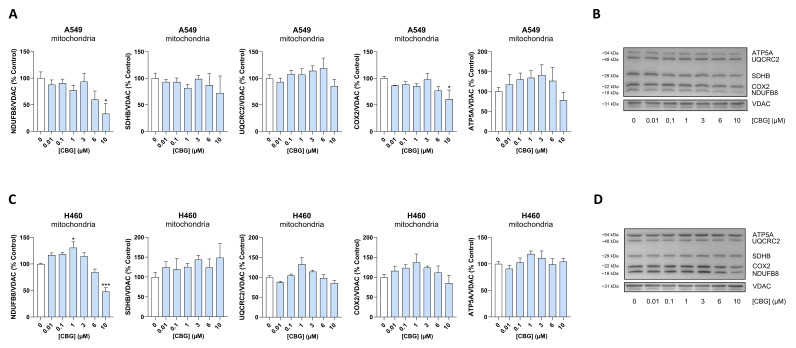 PMC13296359 – antioxidants-15-00754-f016