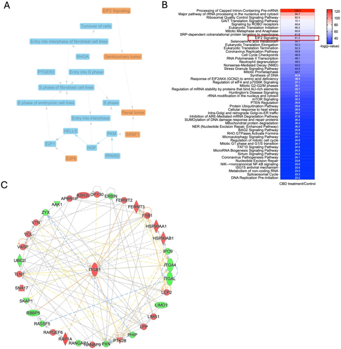 PMC13325386 – fig6