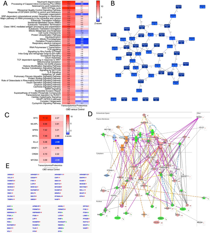 PMC13325386 – fig7