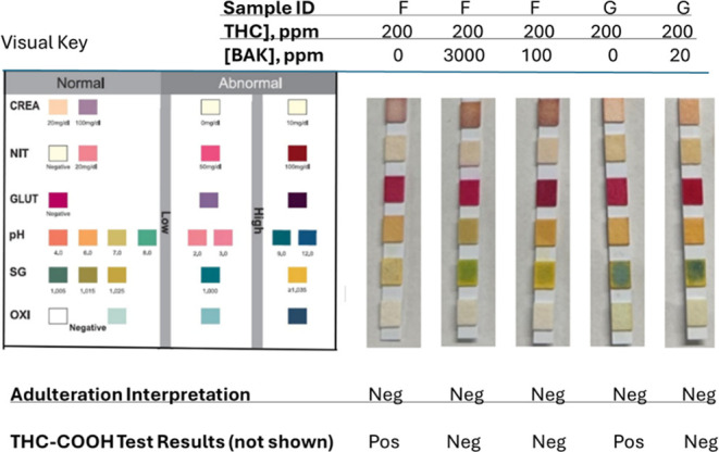 PMC13325391 – fig6