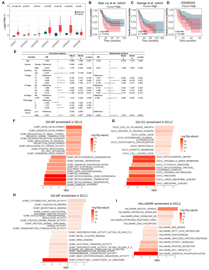 PMC13296946 – biomedicines-14-01196-f003