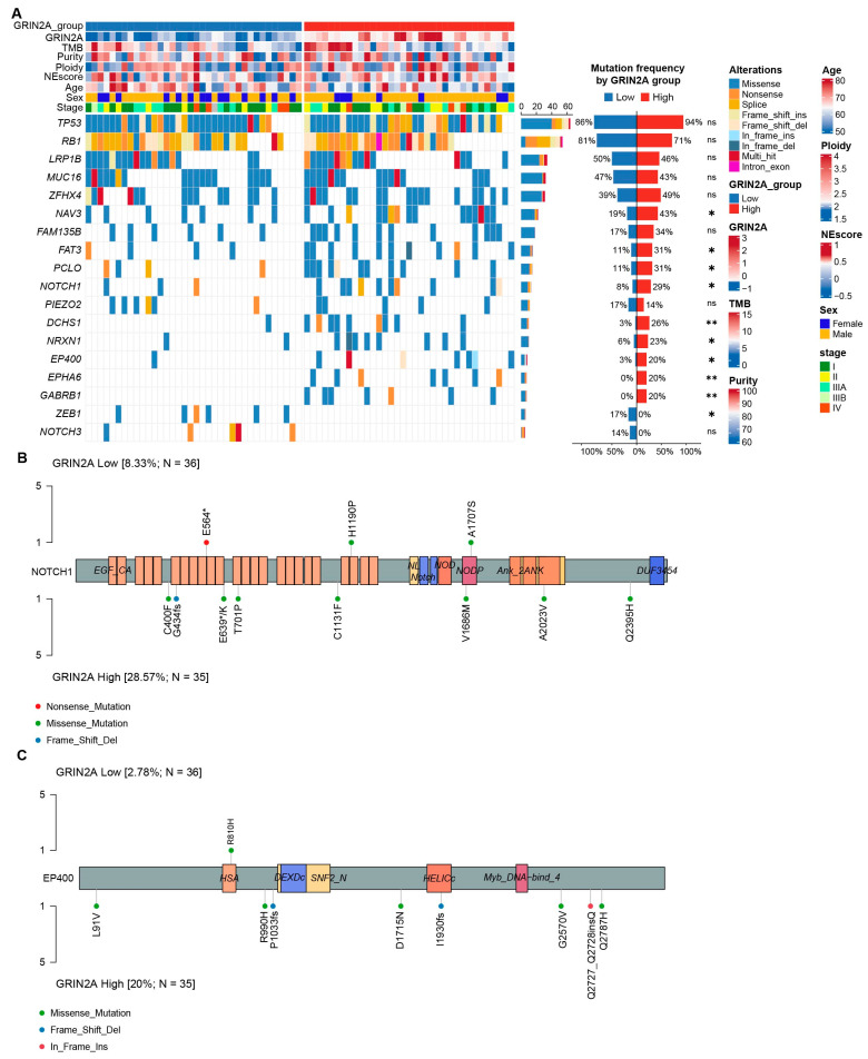 PMC13296946 – biomedicines-14-01196-f004