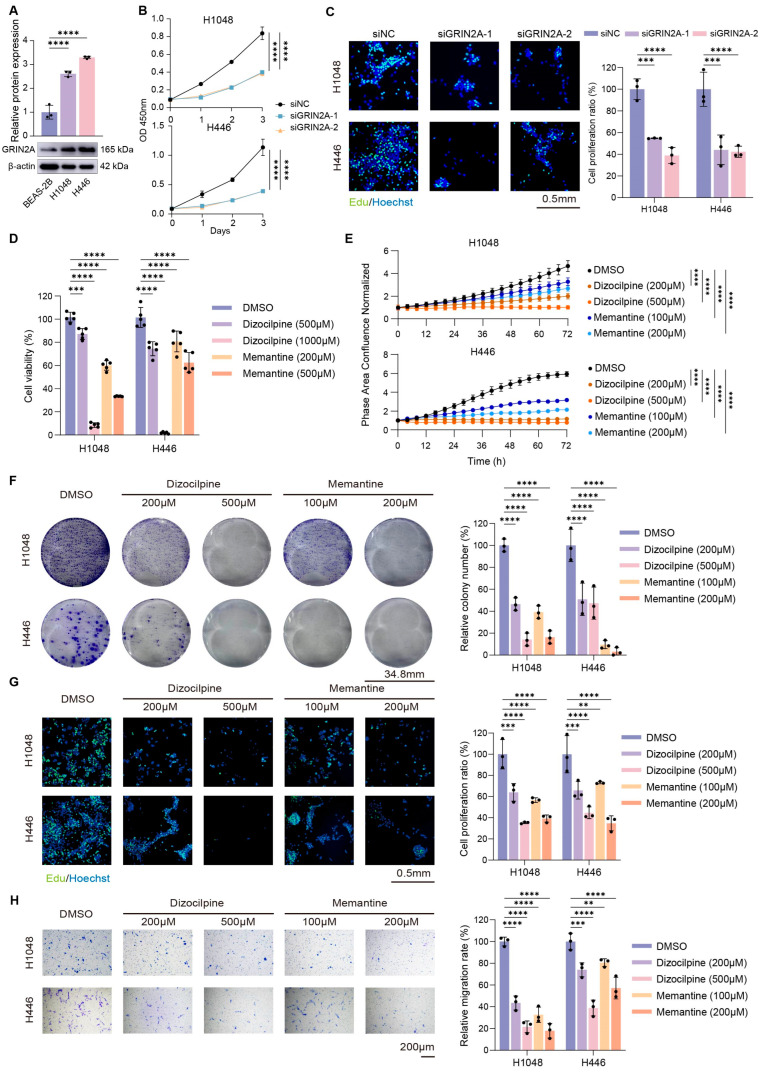 PMC13296946 – biomedicines-14-01196-f007