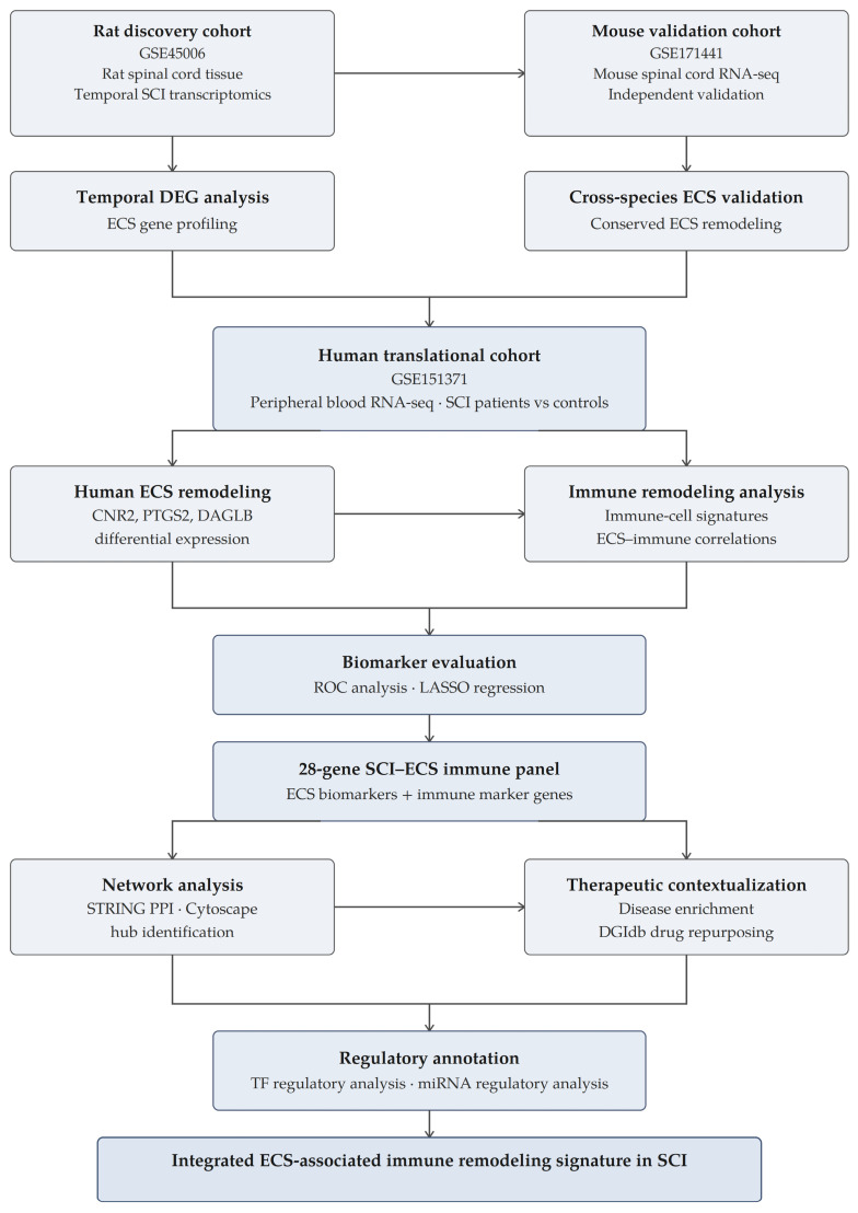 PMC13406091 – biomedicines-14-01446-f001