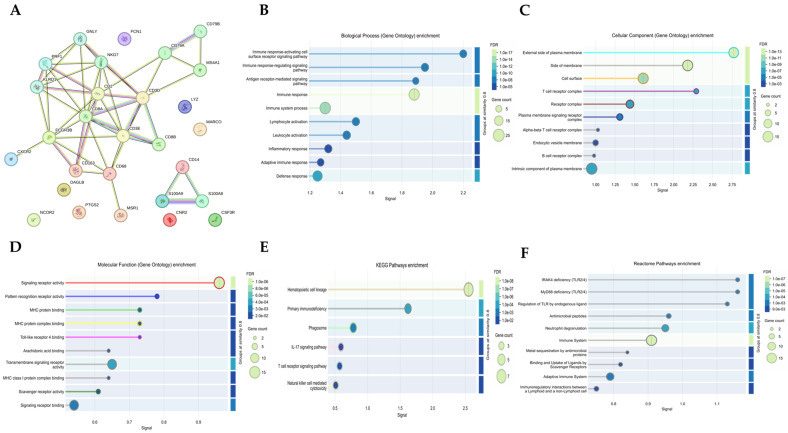 PMC13406091 – biomedicines-14-01446-f010